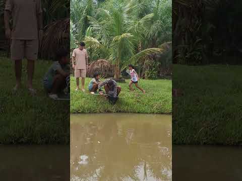 #sitio Cantinho do céu em Buerarema Bahia