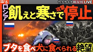【絶望のロシア兵】飢えと寒さで身動き取れず🔥ウクライナ軍、次々と占領地を奪還【ウクライナ戦況】Mig-29破壊！兵士損失1200人超！ポクロフスクはロシアの損失だけが積み重なる...