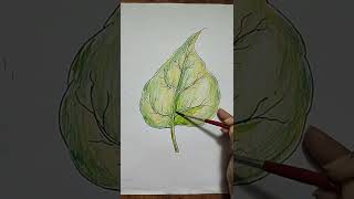 HOW TO DRAW PEEPAL LEAVES। PANCIL WATER COLOUR SHADING l