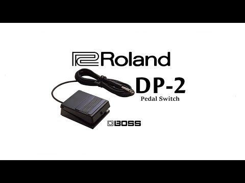 ROLAND DP2 Sustain Pedal/Hold Pedal  jack image 9