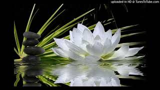 Lotus Flower Bomb - Dre Dennis (feat. Tone Stith) [REUPLOAD]