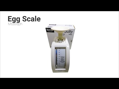 Egg Scale