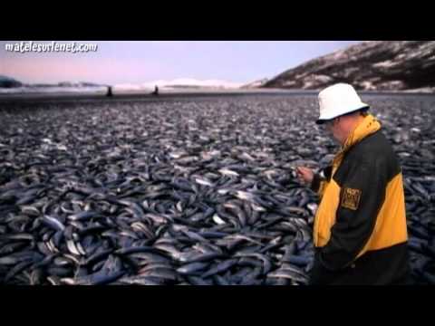 pourquoi la mer d'aral disparait