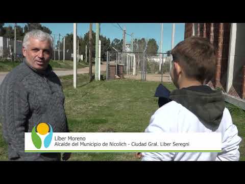 Finaliza la última etapa del Plan de Forestación 2023 para Nicolich-Ciudad Gral. Líber Seregni