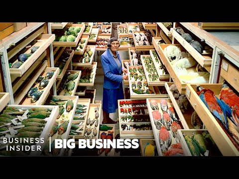 Business Insider and Insider Science