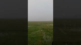 Download lagu subang kecamatan chiasem di guyur hujan dari pagi gaes 🌧 #musimhujan #subang #sukamandi mp3