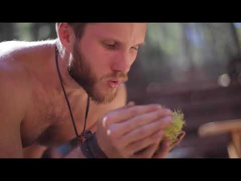 Fire Medicine - SPF 2018