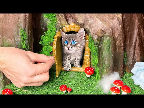 Rescue the TINIEST KITTEN in the World😱 *DIY Kitten House and Makeover*