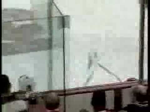 powerAde Powerhits 2