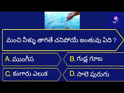 Unique general knowledge Telugu questions with answers| Telugu quiz| Gk quiz 