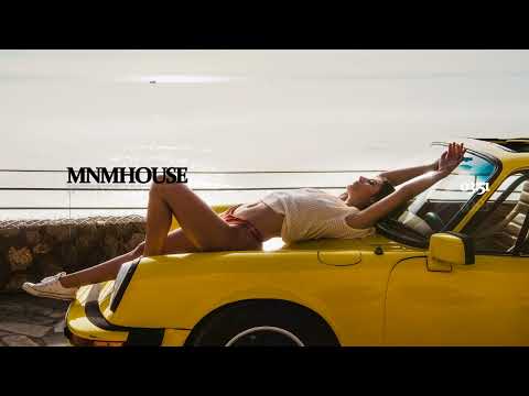 Lissat & Voltaxx vs. Andrey Exx & Hot Hotels feat. Immi - Joe Le Taxi (Original Mix)