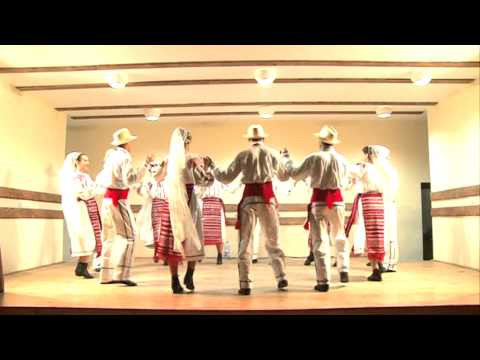 ANSAMBLUL FLOAREA DE COLT - MARAMURES, SARBA, CRIS