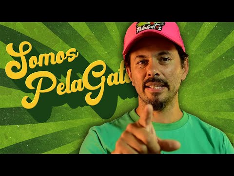 Bushman, Jah Currant, Alewya, Yung L, Nonpalidece, Rebelution, Pablo Molina y+ -Somos PelaGatos 152