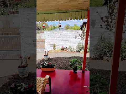 CAMBÉ - PR 04 DE NOVEMBRO 2025 DEUS ABENÇOE SEMPRE