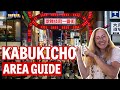 Tokyo S Red Light District Kabukicho Bars Arcades Batting Centers