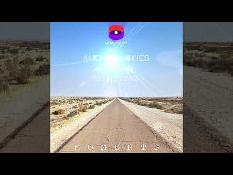 Audio Junkies - Revelations