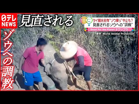 ミシェル・ケーガン - 定義