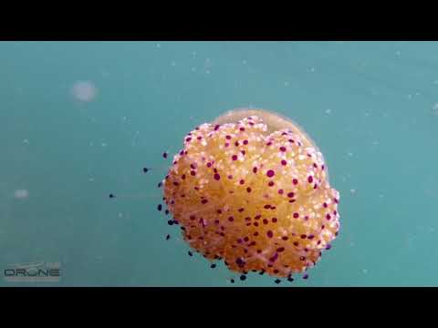 a perfect summer day