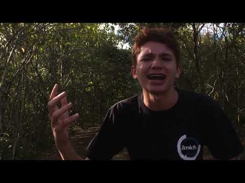 Zenich-Boston (Oneshot)