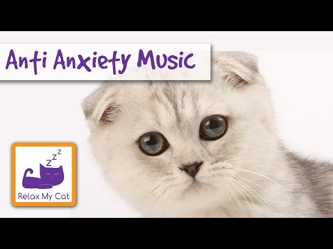 Soft Music to Relax Cats and Kittens, Perfect for Cats with Anxiety Problems