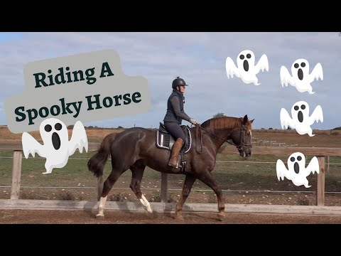 How To Ride A Spooking Horse