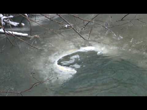 Another Ice Circle Forming on Little Buffalo Creek?