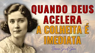 AMÓS 9:13 — A Aceleração Sobrenatural da ABUNDÂNCIA - POUCOS CONHECEM E APENAS ELES POSSUEM ..