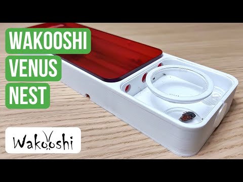 Recensione Del Nido WaKooshi Venus