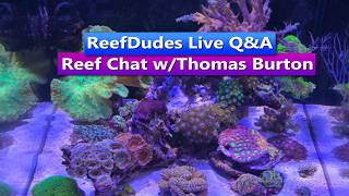 ReefDudes Live Q&A - Saltwater Reef Chat w/Thomas Burton
