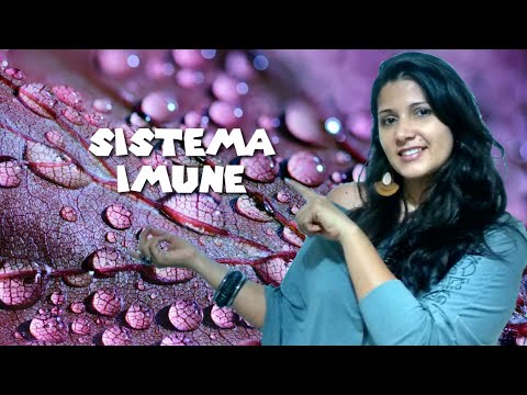 Sistema Imune/ Vacina e Soro - com a Prof Lu