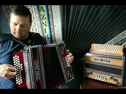 TIMI ZAJC C F B - PLAZNIK STIMA