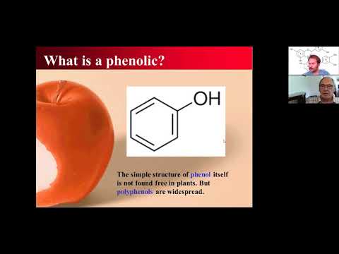 TCCPA CraftCon Live! Phenolics with Dr Andrew Lea