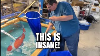 Man Makes 100k/Month passively, leveraging KOI FISH business | While Working a 9 to 5