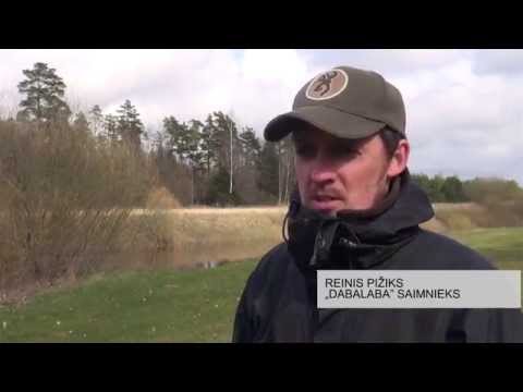 Atgriežoties dzimtajā pusē, kļūst par veiksmīgu uzņēmēju un dara to, kas sirdij vistuvākais