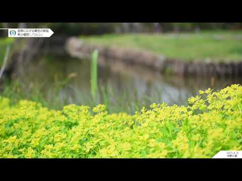 2021ノウルシ｜浮野の里