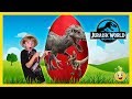 Giant Dinosaur Surprise Egg Opening Jurassic World Indominus Rex T Rex Dinosaurs With Kids Toys