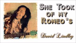 David Lindley - She Took off My Romeos