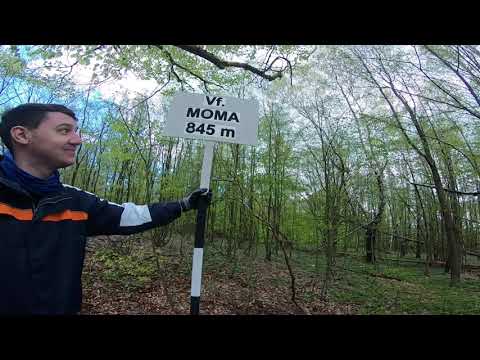 Muntii Codru Moma partea 2