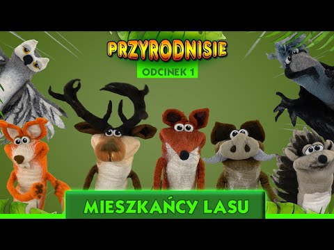 PRZYRODNISIE odcinek 1 - Mieszkańcy lasu