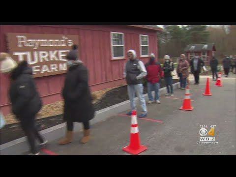 Long Lines For Last-Minute Turkeys In Methuen