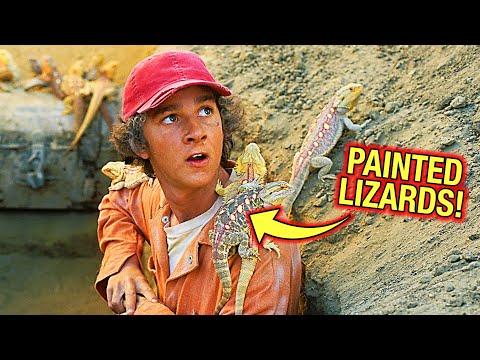 8 Behind the Scenes Facts about Holes