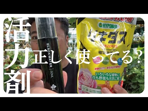 ローン・シュミーレ、ヴァルトシュミーレ 植物