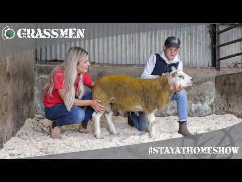 GRASSMEN #StayAtHomeShow - Livestock with Kirstie - Ben Robinson and Teeshan Dynamite