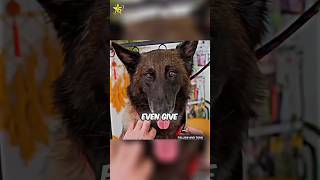 Watch how this old man saved this dirty dog ‼️😳 #elchombo