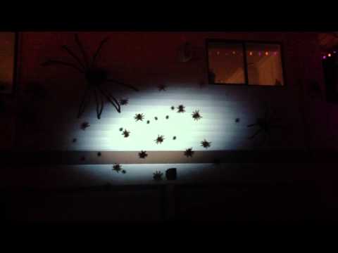 Creepy Halloween spiders