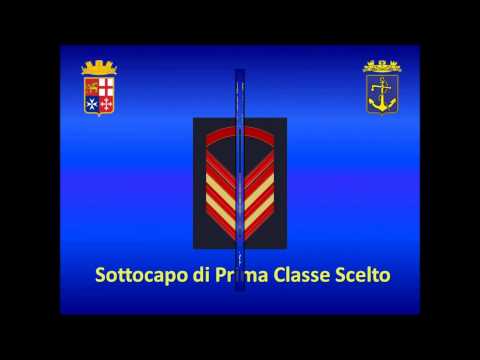 Dolorante in basso a sinistra dà sul retro Agenti infiammazione delle articolazioni