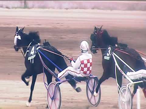 Trotto 22/04/2019 - 1ª corsa