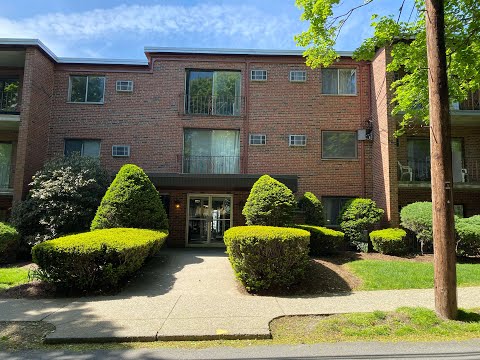 33 Paul St  Virtual Tour