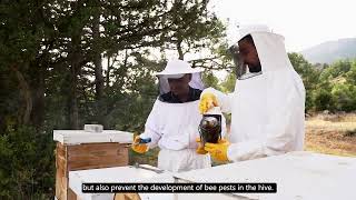 Doğru Arıcılık Uygulamaları - Good Beekeeping Practices