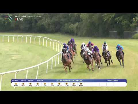 Could Be King - Zawawi Sprint Cup 2021